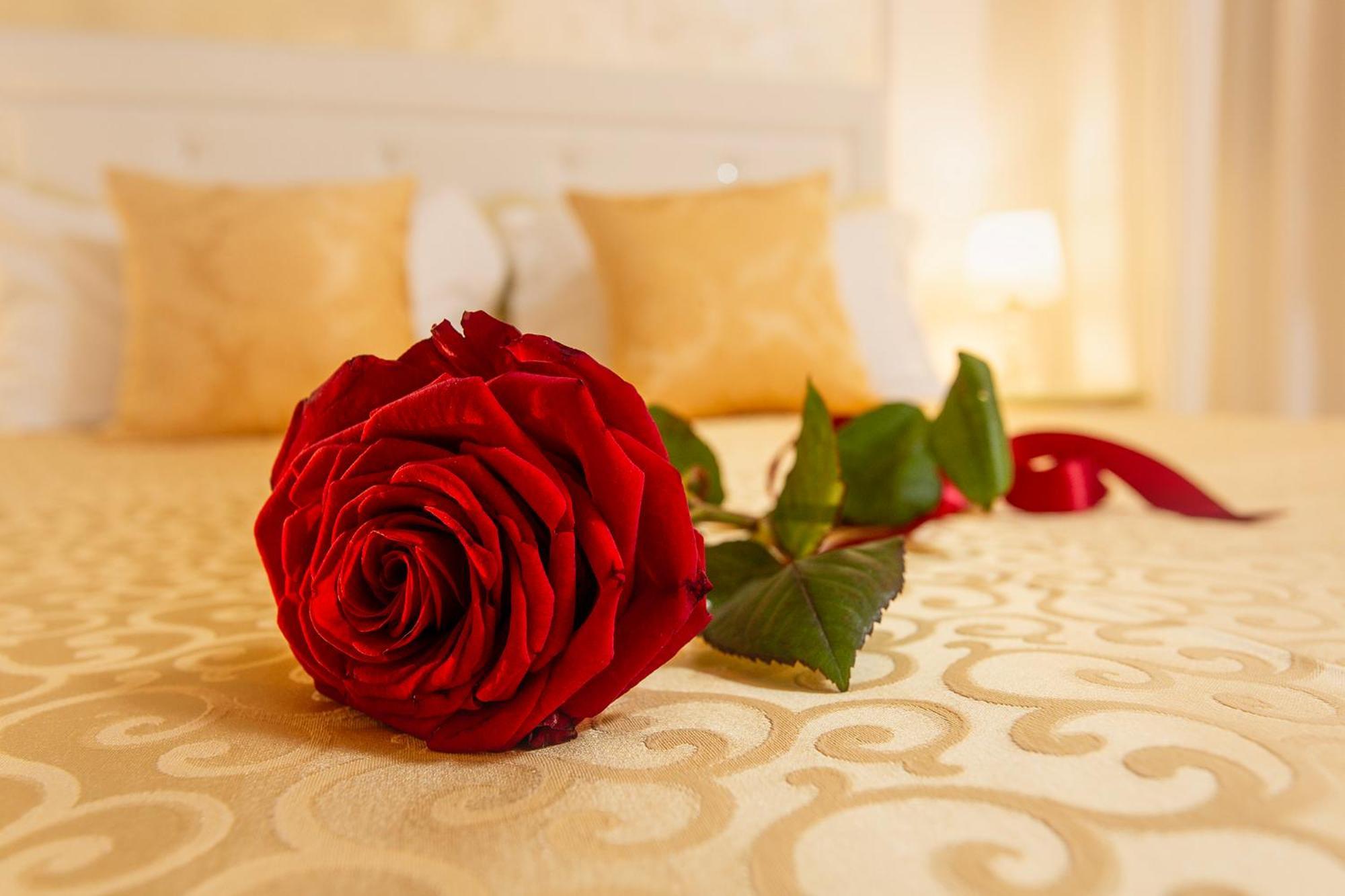 Capatron Hotel Venedig Eksteriør billede